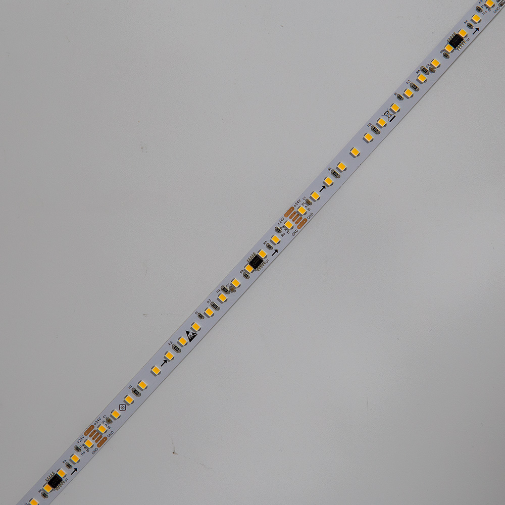 DMX512-24v-2835-120LED-10MM SINGLE COLOR - Image 2